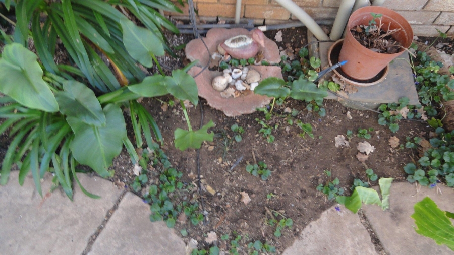 4 Bedroom Property for Sale in Potchefstroom North West